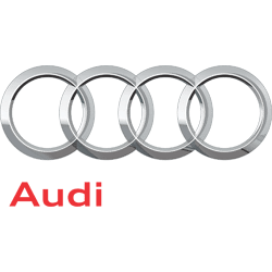 Audi logo on Hollenshade's website
